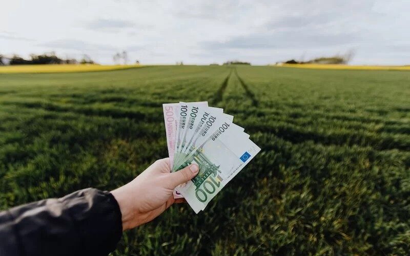 Jak sprawdzić status zwrotu podatku z Holandii? Dowiedź się, kiedy przyjdzie przelew!